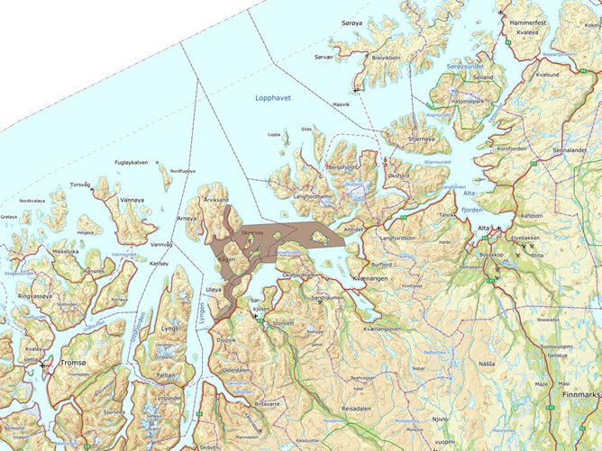 Kartutsnitt som viser pilotområdene til prosjektet Marine grunnkart i kystsonen i Skjervøy og Kvænangen.