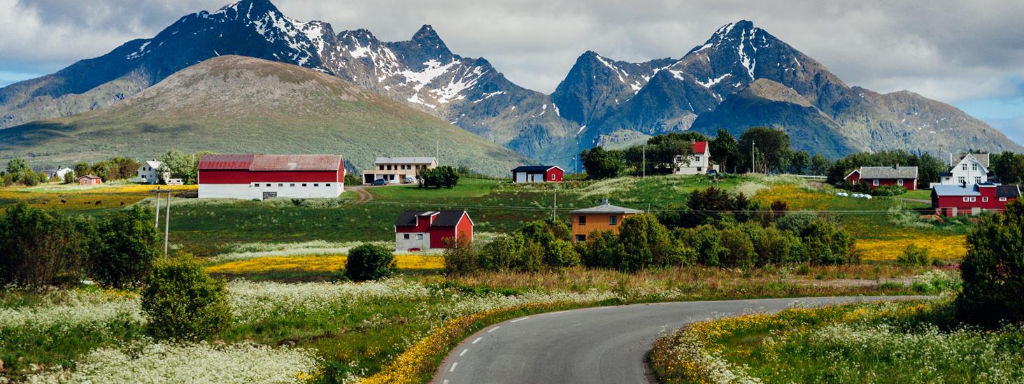 Blomstereng og gårdsbruk foran massive fjellformasjoner på vei mot Leknes by i Vestvågøy kommune