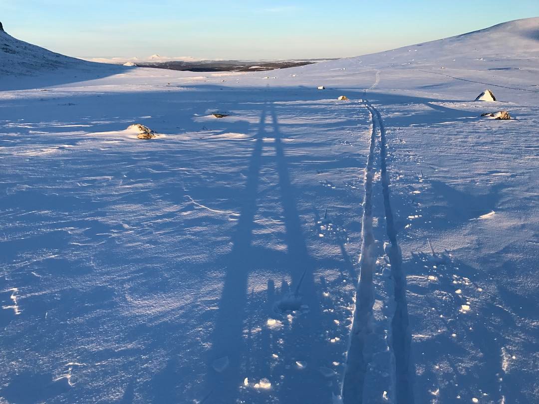 Skispor og skygge av en person i l&aring;g kveldssol over sn&oslash;en