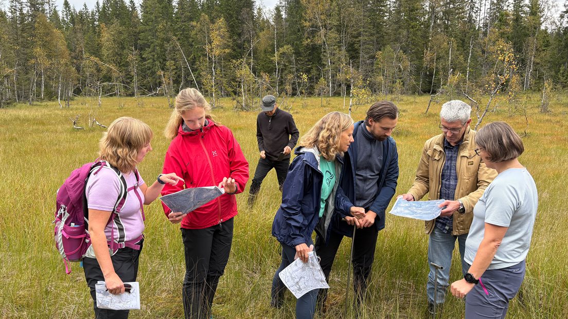 En gruppe personer ser på et kart mens de står i ei myr