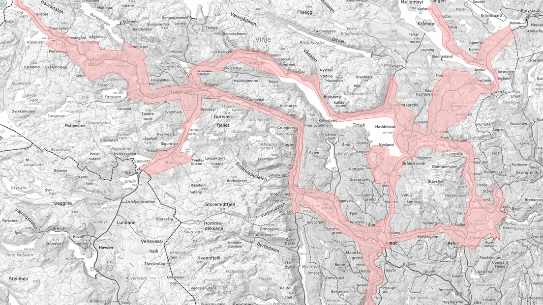 Kartlegging-Vinje-FKB-VETE-2025-16-9.png