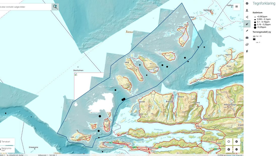 Utsnitt fra kart som viser konsentrasjon av tungmetallet kadmium i overflatesedimenter på sjøbunnen i Ålesund og Giske.