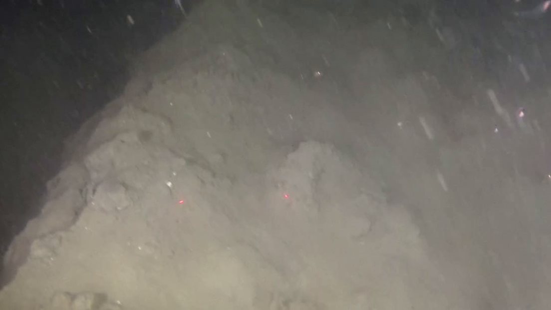 Trålspor på havbotn. Foto: Marine grunnkart i kystsona (video)