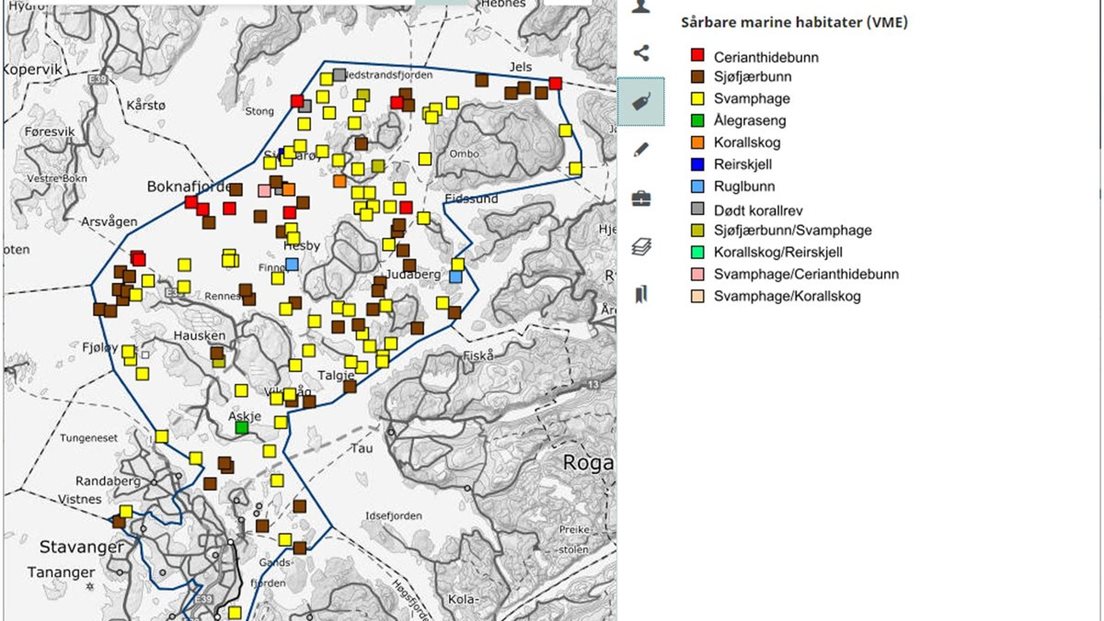 Utsnitt fra kartvisning av Marine grunnkart i kystsonen som viser registrerte sårbare habitater til sjøs utenfor Stavanger.