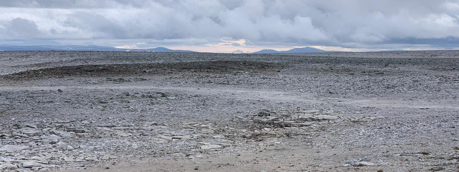 Utsiktsbilde fra Vuonjalrášša i Lebesby med steinslette og fjell i bakgrunnen. Foto: Marit Holm