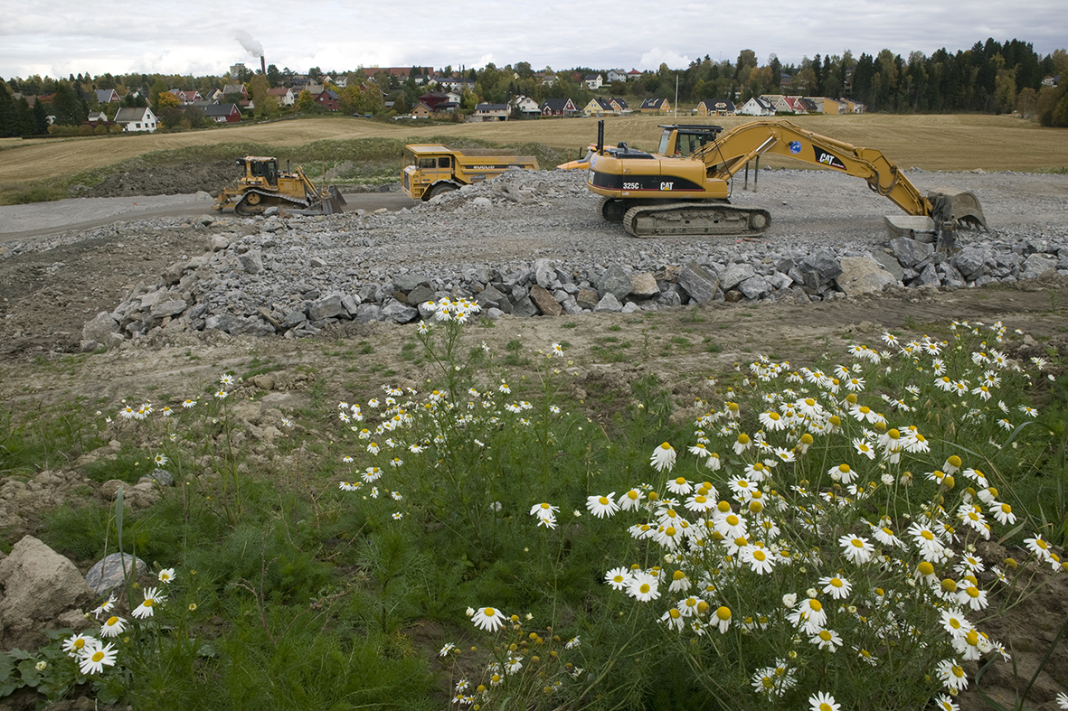 Gravemaskin og lastebiler i et åkerlandskap med hus i bakgrunnen.