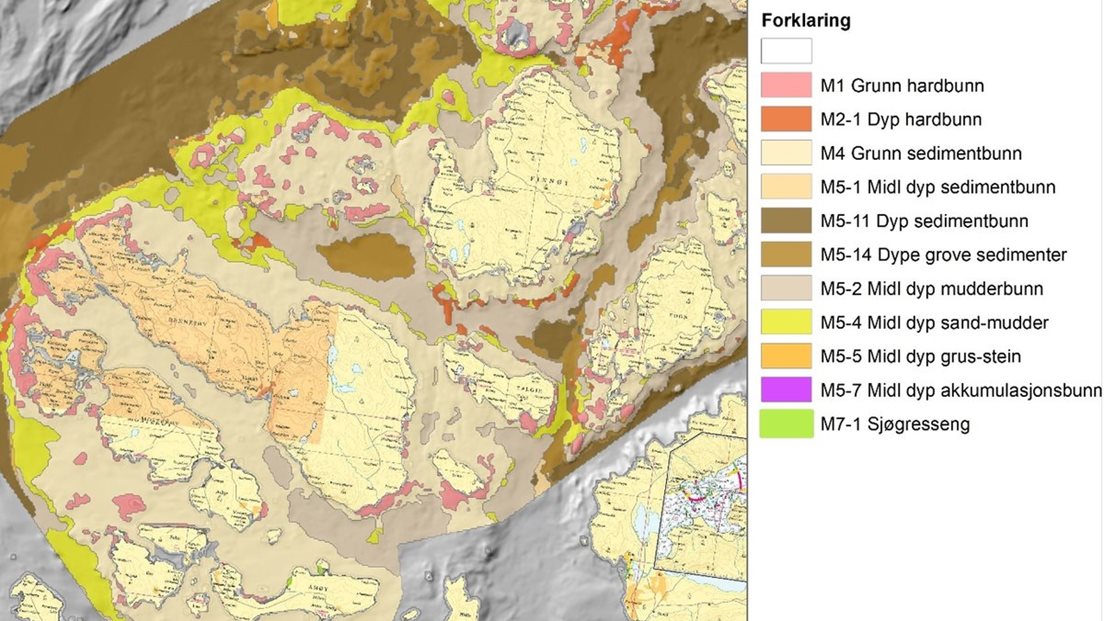 Kart som viser naturtyper.
