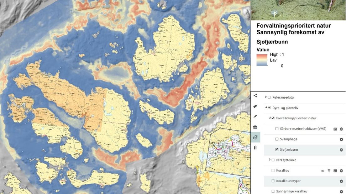 Kart som viser sannsynlighet for sjøfjærbunn.