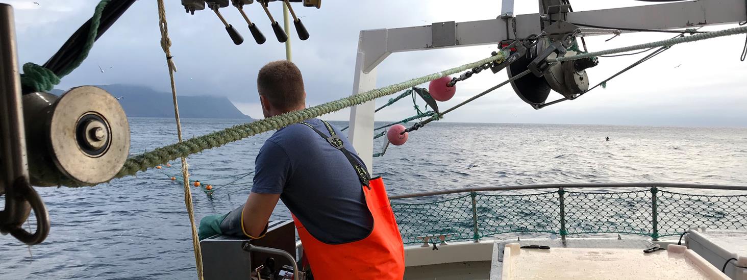 Mann i fiskebåt tar snurrevad om bord. Foto: Nils Roar Hareide