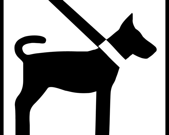 Piktogram som viser båndtvang for hund